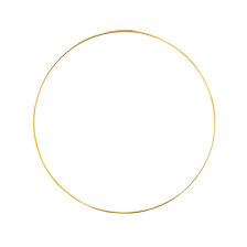 Metallic Wedding Hoop